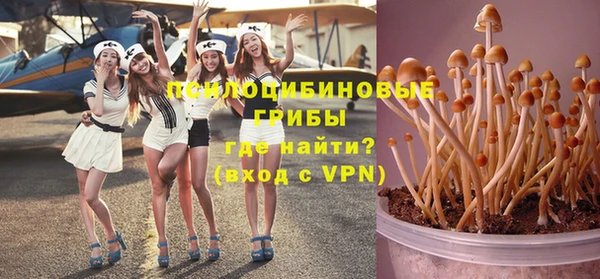 хмурый Абаза