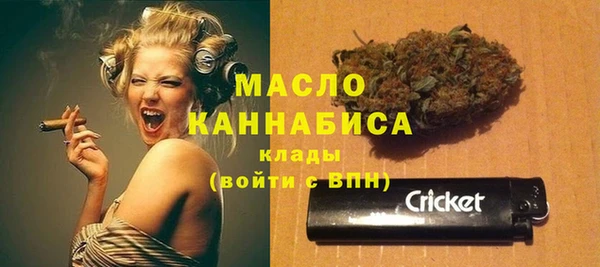 мет Алексин